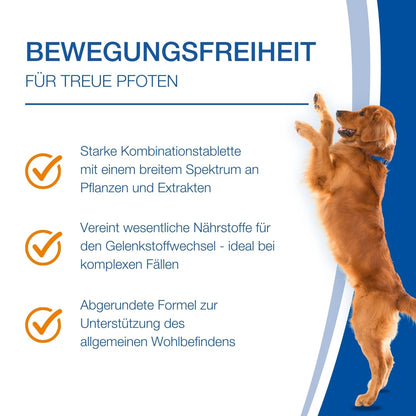 NutriLabs Canidex Gelenktabletten für Hunde Nahrungsergänzung 60 Stk.