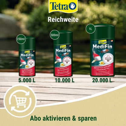 Tetra Pond MediFin Medikament für Teichfische gegen Krankheiten, 1 L