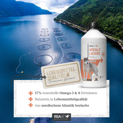 ReaVET Lachsöl für Hunde, Katzen & Pferde 5 Liter – Omega-3 Fischöl