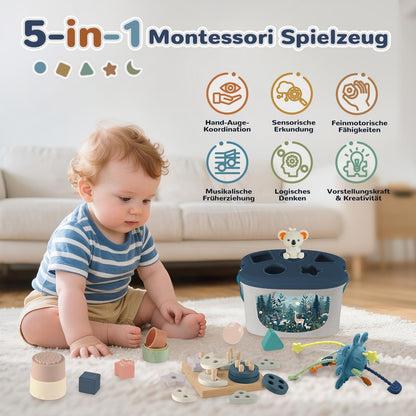 Almaxi 5-in-1 Montessori Spielzeug Baby ab 6 Monate, Motorikspielzeug