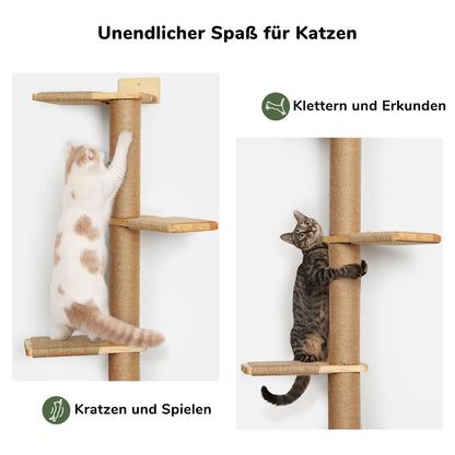 FUKUMARU Kratzbaum Deckenhoch Wandmontage – 206cm Gummibaumholz