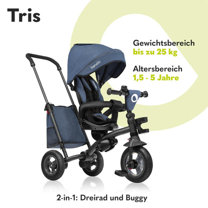 Lionelo Tris 2in1 Dreirad Buggy – Zusammenklappbar