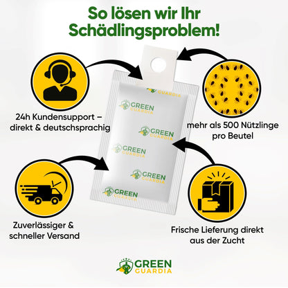 GREEN GUARDIA Power Raubmilben Mix gegen Thripse & Spinnmilben – 50 Mix