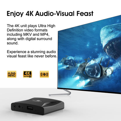 ZUMKUNM Digitaler Multimedia Player 4K Ultra HD für USB-Geräte und microSD-Karten mit HDMI 4K und analogem AV, digitales Signal, automatische Wiedergabe, Reset- und Looping, H-Filme