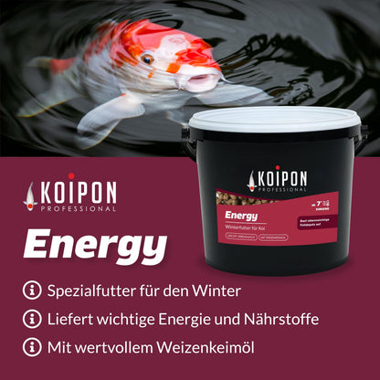 KOIPON Energy Winter Koifutter sinkend 6mm Pellets – 5 kg