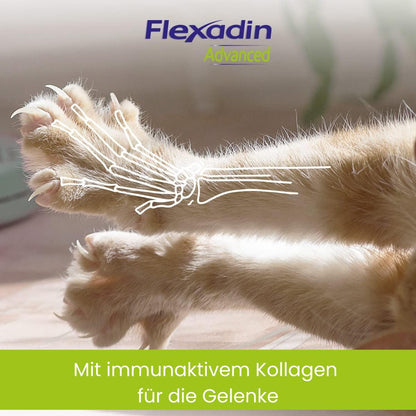 FLEXADIN ADVANCED Katze Gelenkleckerli mit Kollagen Typ II - 60 Stück