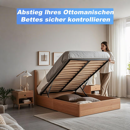 ARANA Gasdruckfeder 700mm 1250N (127kg) – 2 Stück