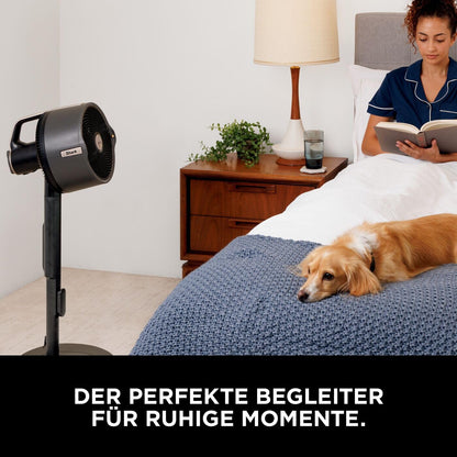 Shark FlexBreeze Pro Mist Akku-Ventilator - Anthrazit FA300EU