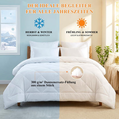 Aisbo Bettdecke 200x220 cm Ganzjahresdecke Steppbettdecke 300 GSM