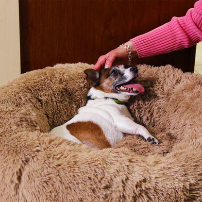 Mediashop Peaceful Pooch XL - Donut Hundebett für grosse Hunde