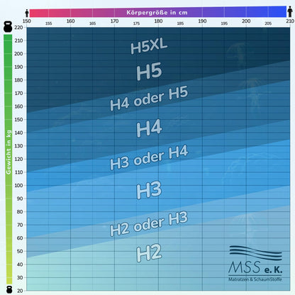 MSS e.K. Aqua Deluxe 7-Zonen Kaltschaummatratze - 140x190cm H2/H3