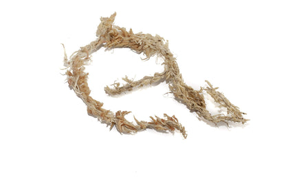 Sphagnum Moos aus Chile 1 kg – Torfmoos Substrat für Orchideen