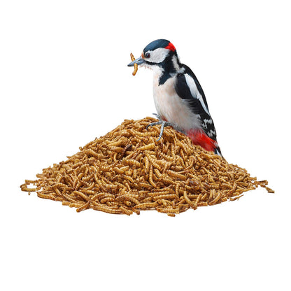 Pauls Mühle Mehlwürmer getrocknet Premium Tierfutter – 20 kg