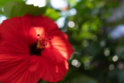 Tamron 24mm F/2.8 Di III OSD M 1:2 Objektiv – Sony E-Mount