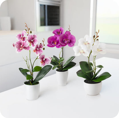 PASCH Kunstblumen im Topf, 3er Set künstliche Orchideen, Weiss-Rosé