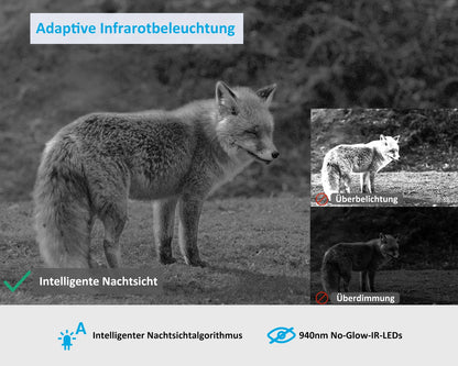 GardePro X50 4G LTE Wildkamera - App & No Glow Nachtsicht