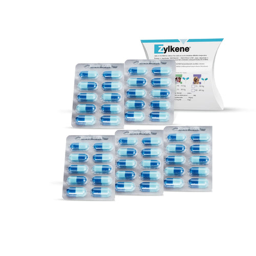 Zylkene 450 mg Ergänzungsfuttermittel für grosse Hunde - 50 Kapseln
