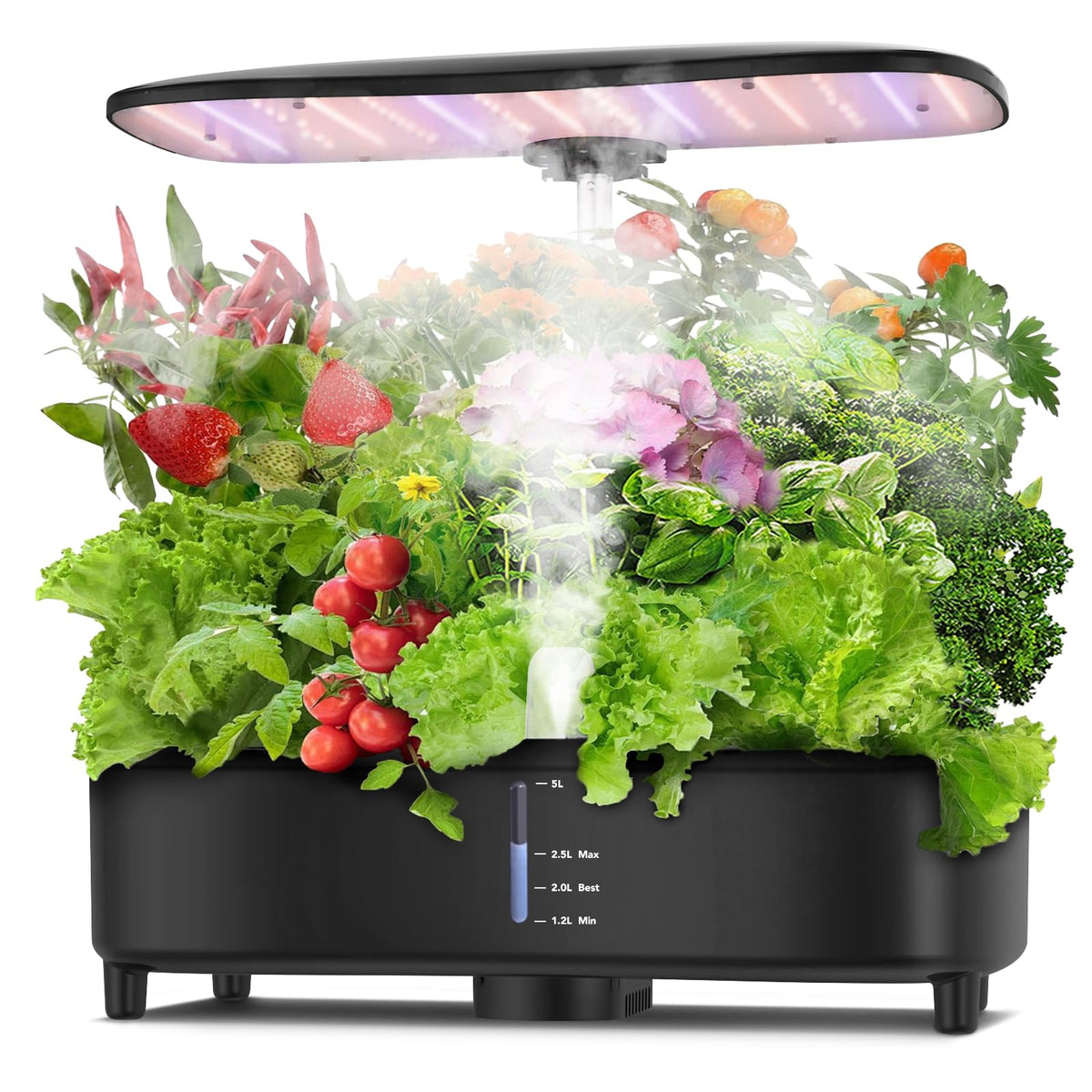 Sondiko SH202 Hydroponik Anzuchtsystem mit 48W LED-Wachstumslampe, höhenverstellbar und 5L Wassertank