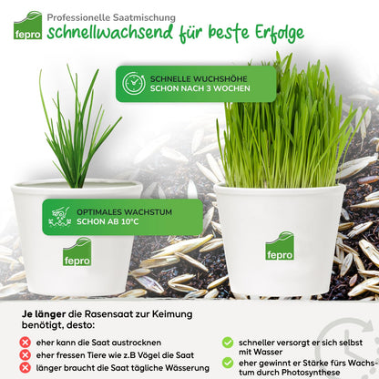 Rasensamen Trockenresistent & Schatten – 20 kg schnellkeimend