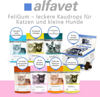 Alfavet FeliGum Gingiva Kaudrops für Katzen und Hunde, 2 x 120 g
