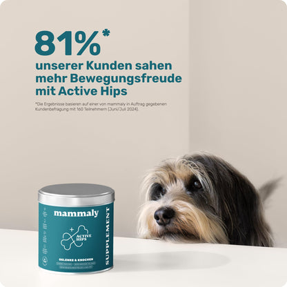 mammaly Active Hips Grünlippmuschel Gelenk-Snacks für Hunde, 110 Stück