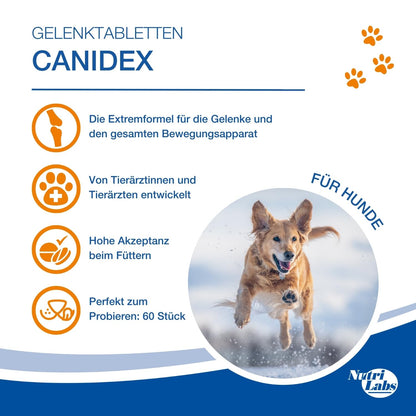 NutriLabs Canidex Gelenktabletten für Hunde Nahrungsergänzung 60 Stk.