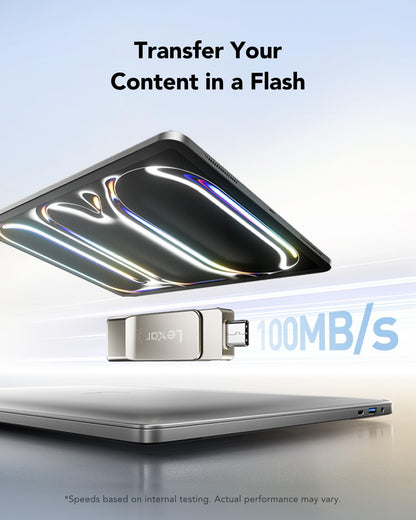 Lexar JumpDrive D40E 256 GB Dual USB-C Stick mit Metallgehäuse