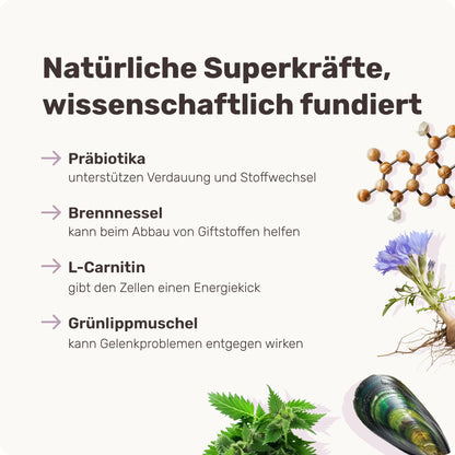mammaly Forever Young Vital-Komplex für Senior Hunde, 120 Snacks
