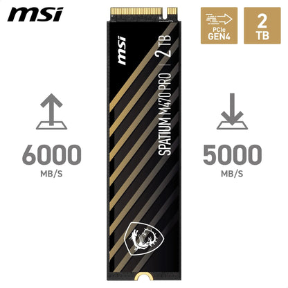 MSI SPATIUM M470 PRO PCIe 4.0 M.2 NVMe SSD intern - 2 TB