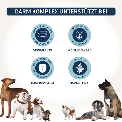 PetFokus Darm Komplex für Hunde – Ergänzungsfuttermittel
