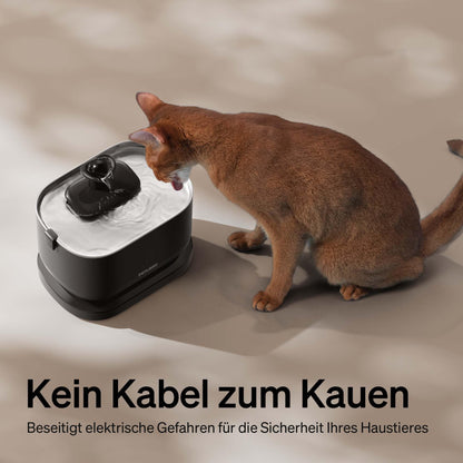 PETLIBRO Dockstream Kabelloser Katzenbrunnen mit Bewegungsmelder