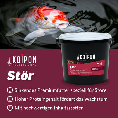 KOIPON Premium Störfutter 6 kg sinkend, Teichfutter Pellets 5-6 mm