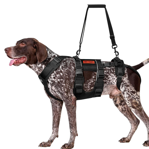 OneTigris SKYEWALKER Hundegeschirr Unterstützung – Schwarz L