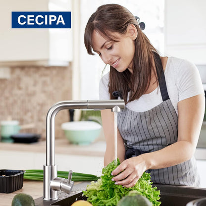 CECIPA Küchenarmatur Ausziehbar - Edelstahl Hochdruck