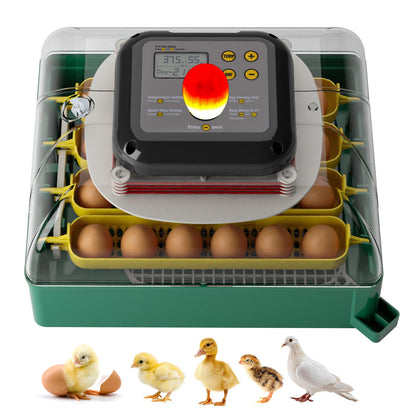 heninhill Brutautomat vollautomatisch 24 Eier Inkubator mit Eierwenden, Display und LED-Schierlampe