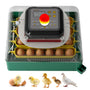 heninhill Brutautomat vollautomatisch 24 Eier Inkubator mit Eierwenden, Display und LED-Schierlampe