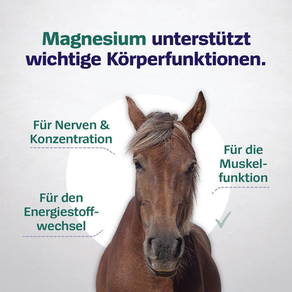 Pharmox Pferd & Pony Magnesiumcitrat Pulver hochdosiert 1500 g