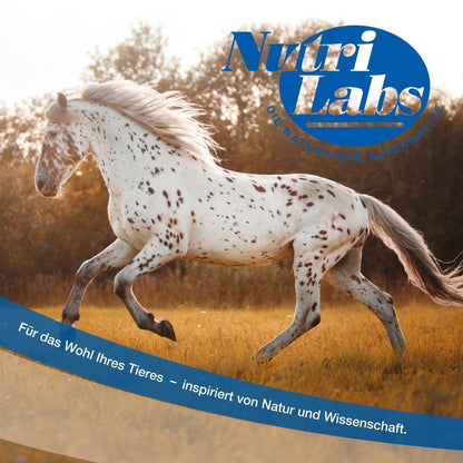 NutriLabs Quattro-Dolor forte Bewegungssaft Teufelskralle Pferd 1 L