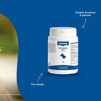 Canina Canhydrox Gag Tabletten für Hunde Gelenke - 360 Stück