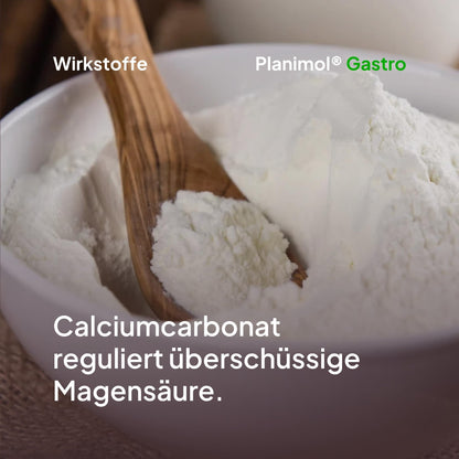 Planimol Gastro Magensnack für Hunde, 90 Tabletten, 100% natürlich