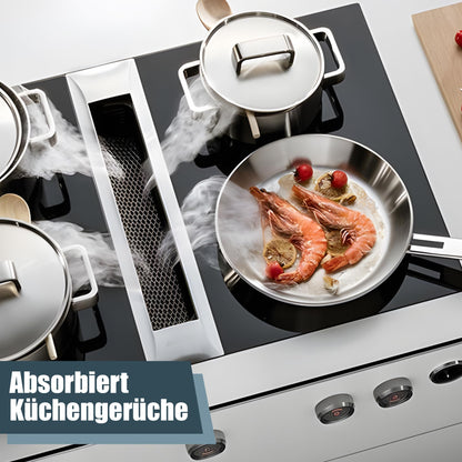 Miele Aktivkohlefilter DKF 35-P für Dunstabzugshaube – 2er-Set