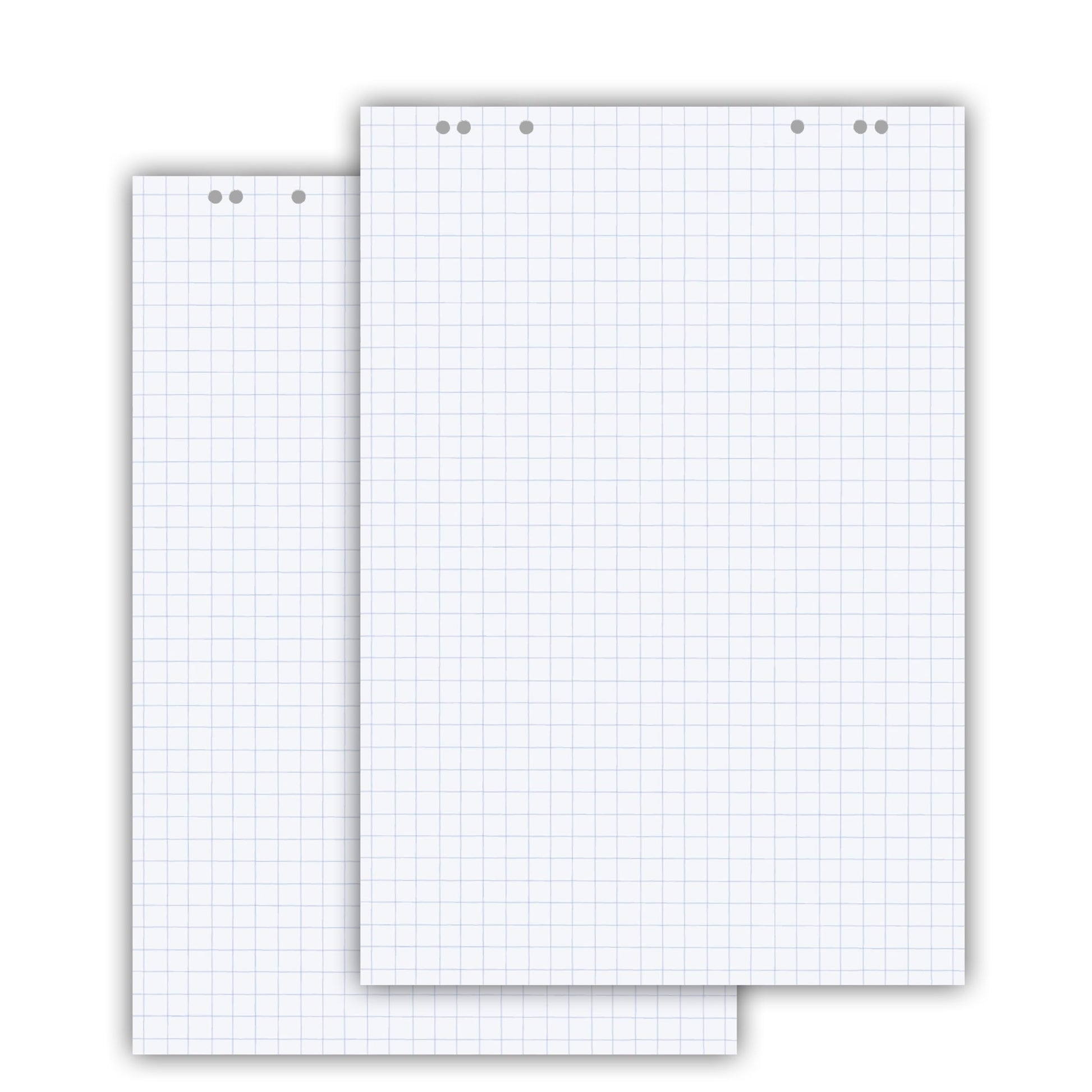 Conipa Flipchartpapier 65x98 cm kariert, 80 g/qm, 5 Blöcke à 20 Blatt, weiss, mit Universallochung
