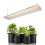 Spider Farmer SF300 Grow Lampe - Vollspektrum 192 LEDs