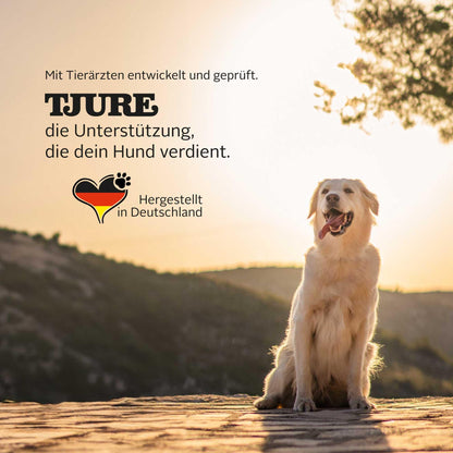TJURE Ulmenrinde Liquid mit Honigkraut für Hunde & Katzen, 1000 ml