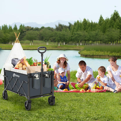 Sekey Bollerwagen faltbar Mini 4029, Handwagen 80 kg, dunkelgrau