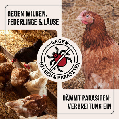 AniForte Milben Stop Flüssig Milbenmittel Hühner Geflügel - 5 Liter