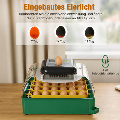heninhill Brutautomat vollautomatisch 24 Eier Inkubator mit Eierwenden