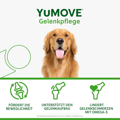 YuMOVE Grünlippmuschel Hund Gelenktabletten - 300 Tabletten