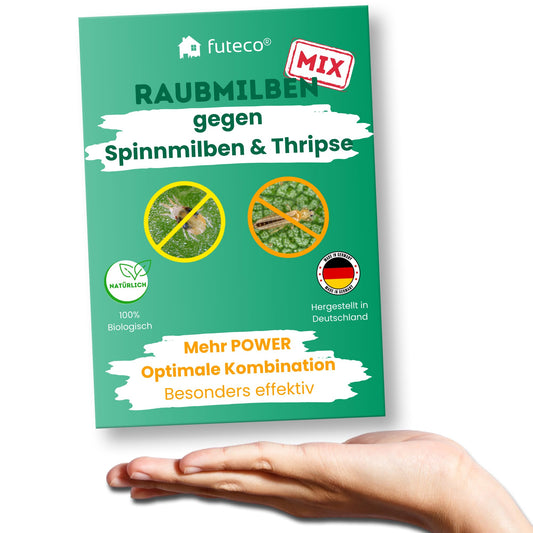 Futeco® Raubmilben MIX Nützlinge – Spinnmilben & Thripse, 60 Tüten. Biologische Schädlingsbekämpfung gegen Spinnmilben & Thripse auf Pflanzen.