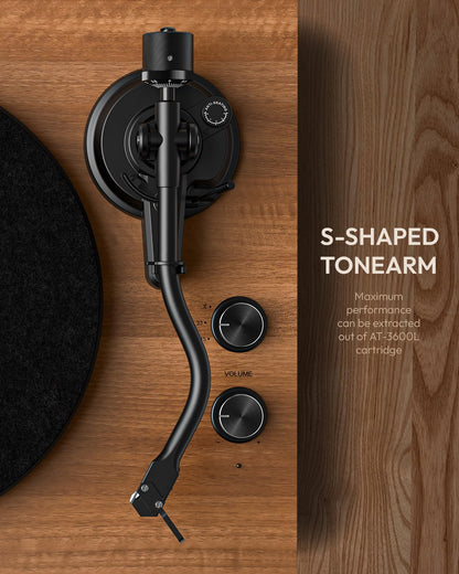 Qlearsoul SoulBox S1 Plattenspieler mit Stereo Lautsprechern